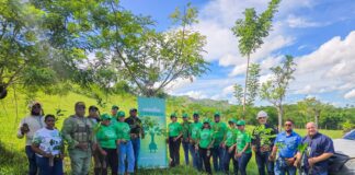 Edeeste y Ministerio de Medio Ambiente realizan jornada de reforestación en El Seibo