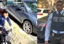 Es dominicano detective asaltado y apuñalado siete veces en El Bronx