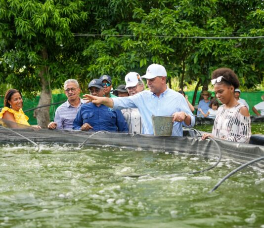 Higüey cuenta con infraestructuras para el lavado, acopio y empaque de productos agropecuarios