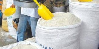 Presidente deroga decreto establecía arancel arroz de EE.UU.