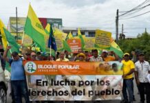 Frente Amplio exige protección para productores de arroz
