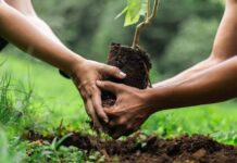 San Pedro de Macorís se une a jornada nacional para recuperar zonas verdes