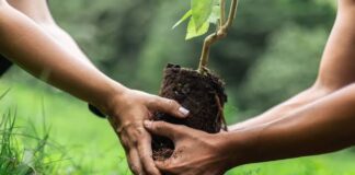 San Pedro de Macorís se une a jornada nacional para recuperar zonas verdes